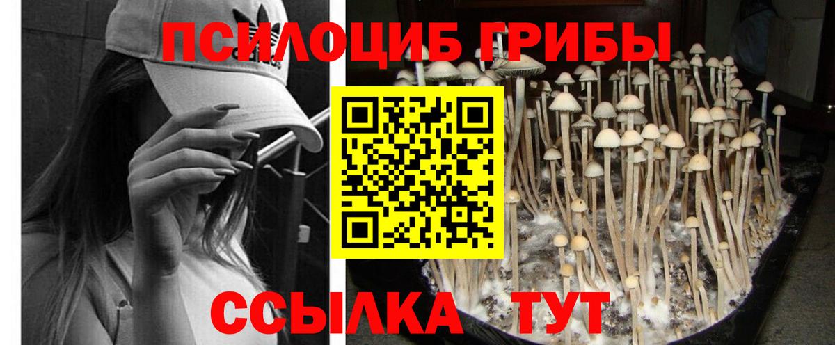 Конопля  Сафоново  Мефедрон кристаллы  ТГК  Вход с VPN  Гашиш  Метамфетамин  Кокаин 