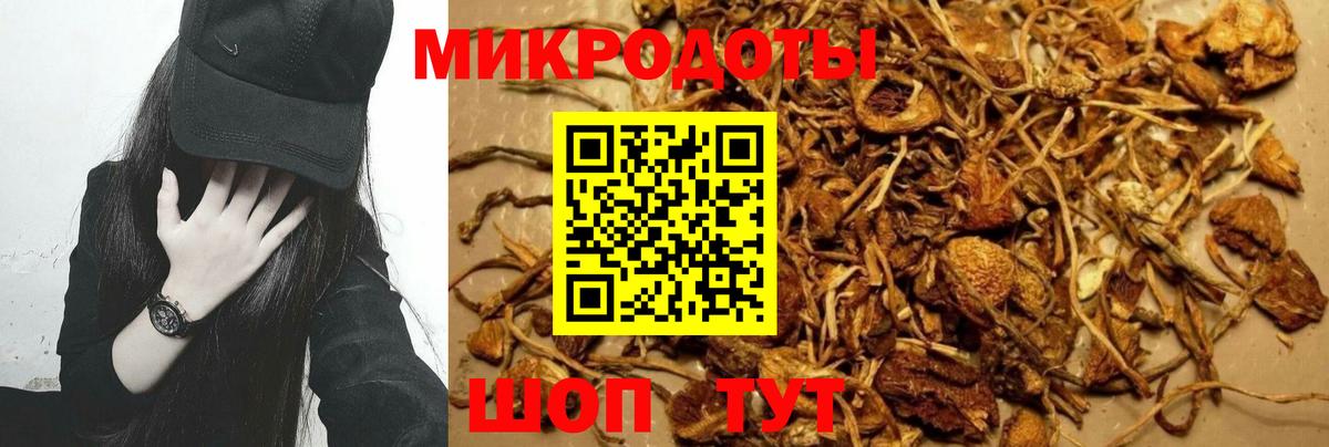 Псилоцибиновые грибы мицелий Сафоново